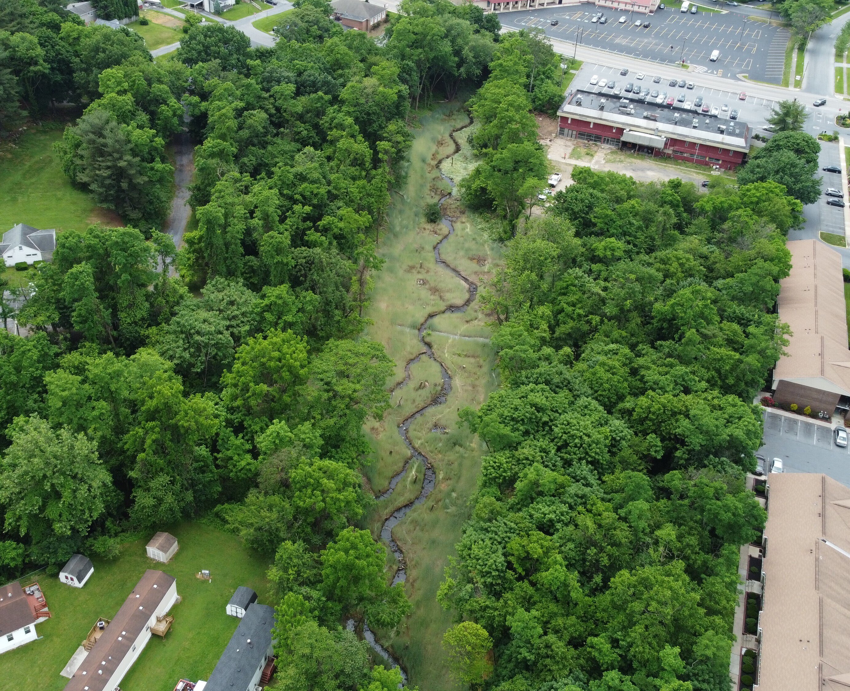 Restoring Paxton Creek