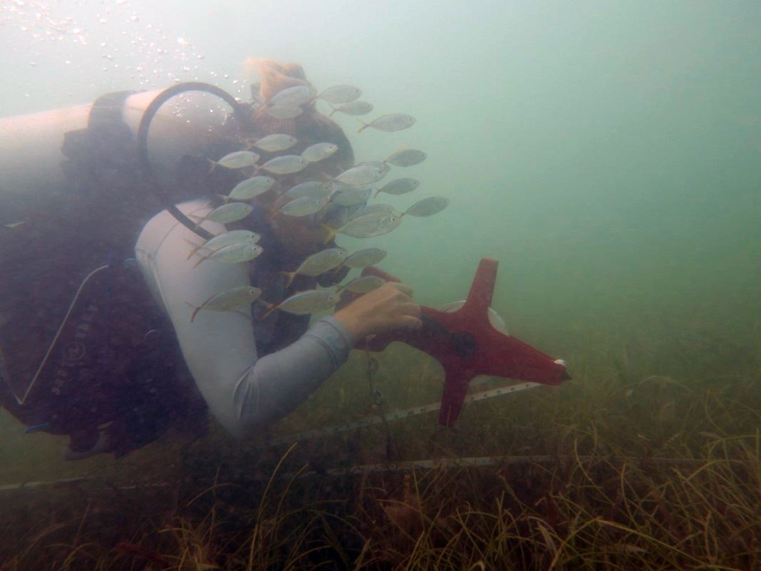 RES featured in SW Florida Water Management District Watter Matters Magazine for seagrass restoration