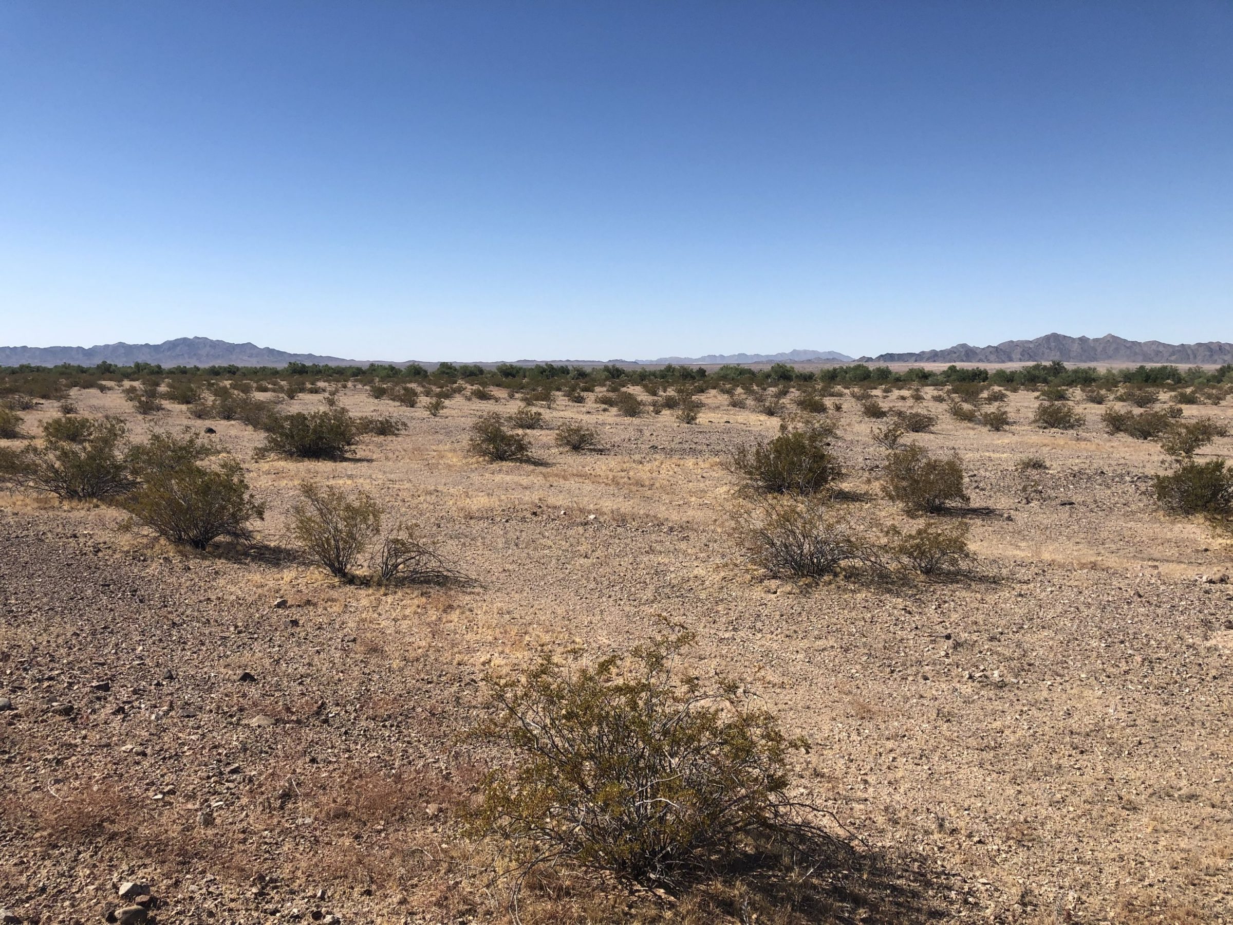 Colorado Desert Conservation Site