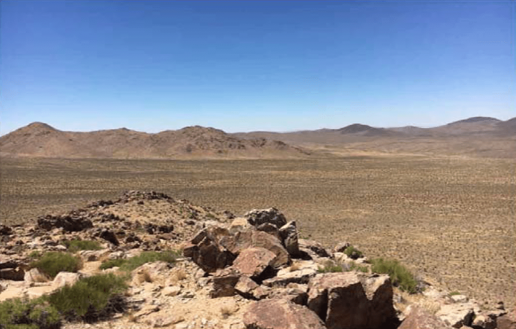 Desert Tortoise Landscape View vs2