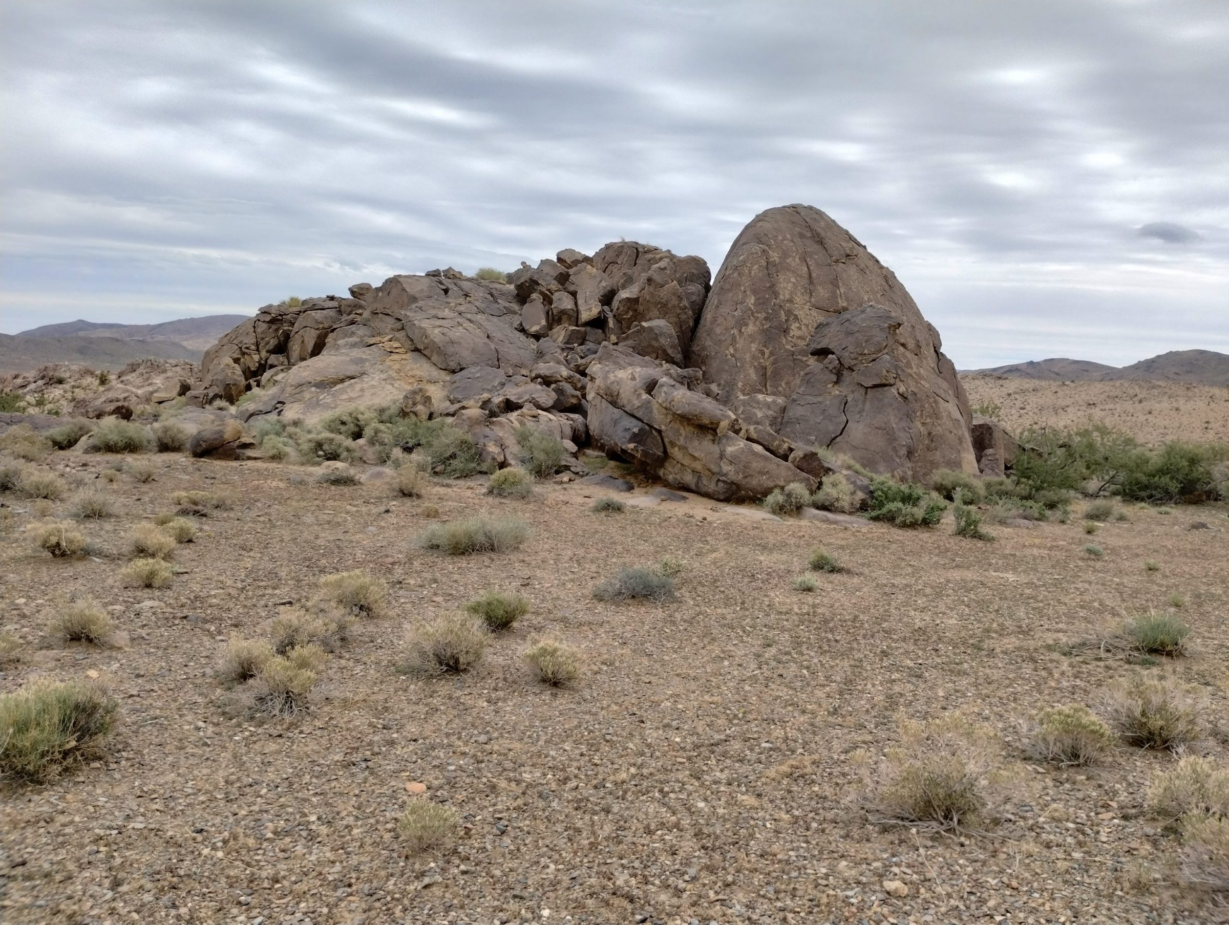 IMG_20230930_131655885_HDR