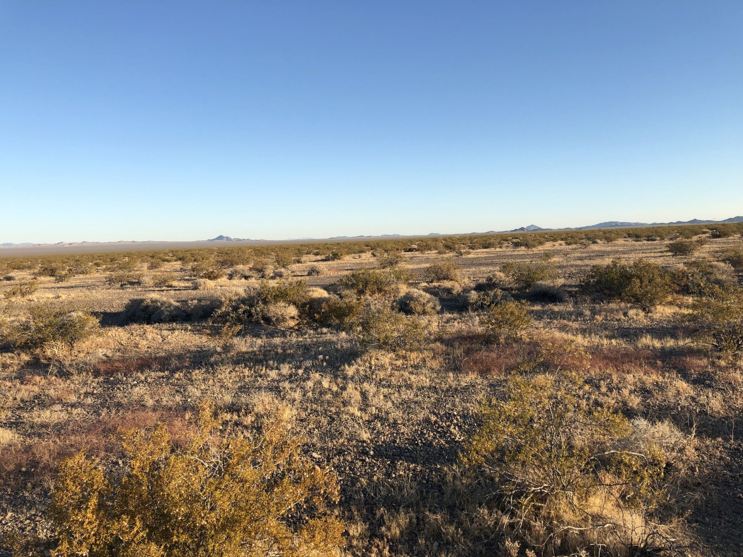Colorado Desert Conservation Site