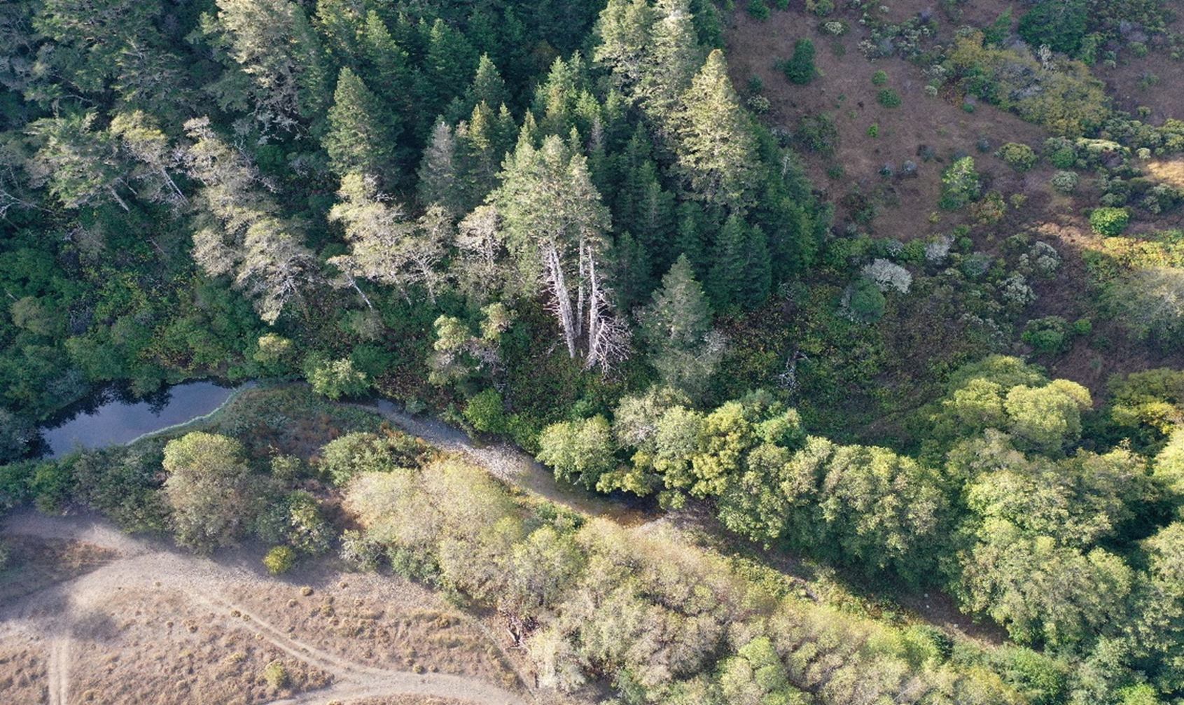 Mendocino Coast Bank (1)