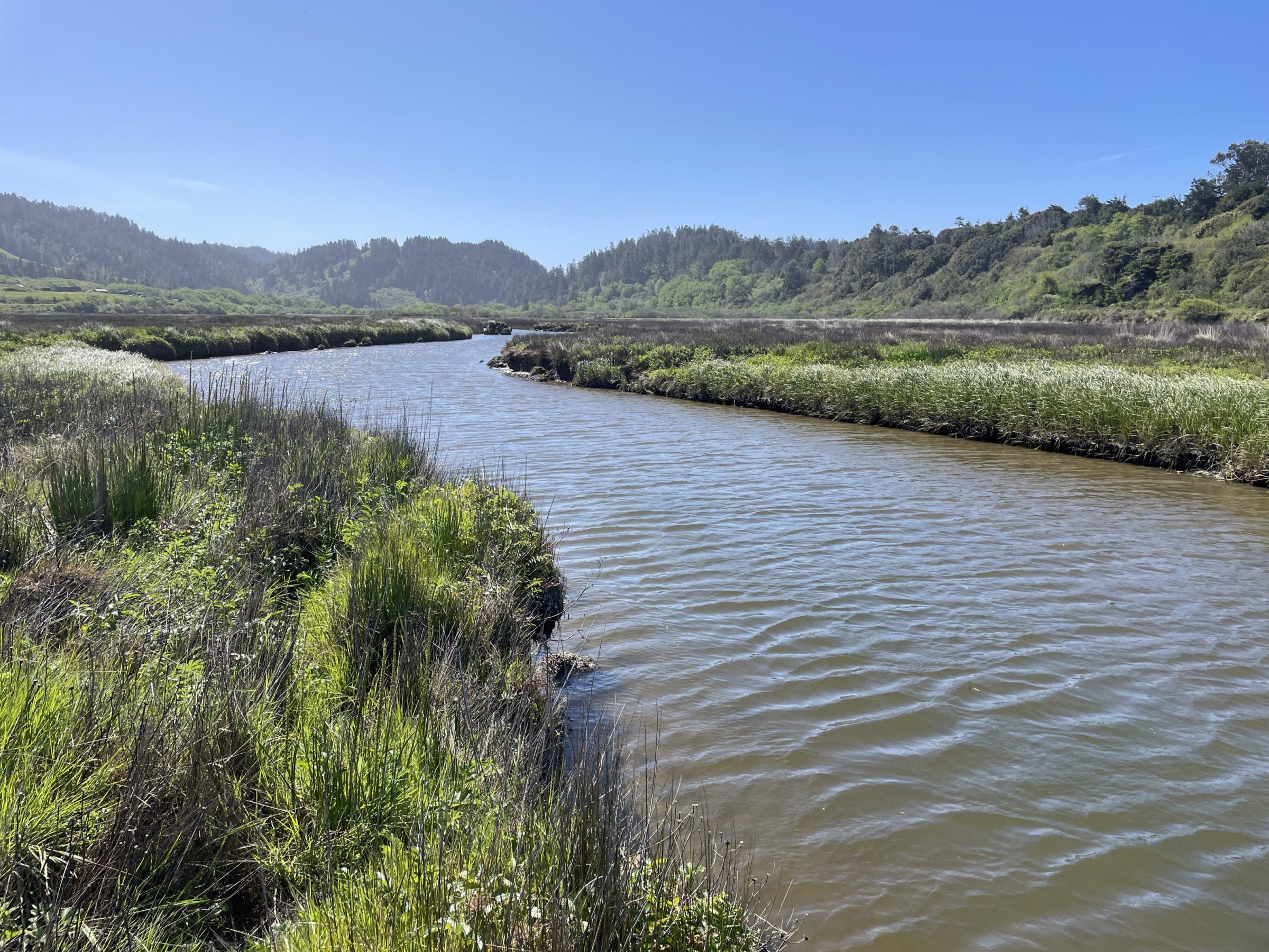 Mendocino Coast Bank (3)