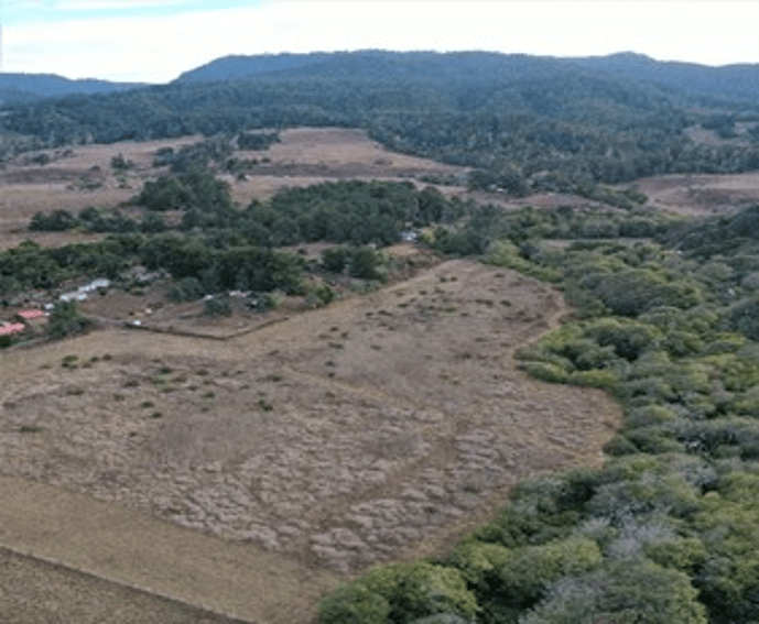 Mendocino Coast Bank (4)