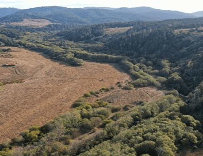 Mendocino Coast Bank (5)