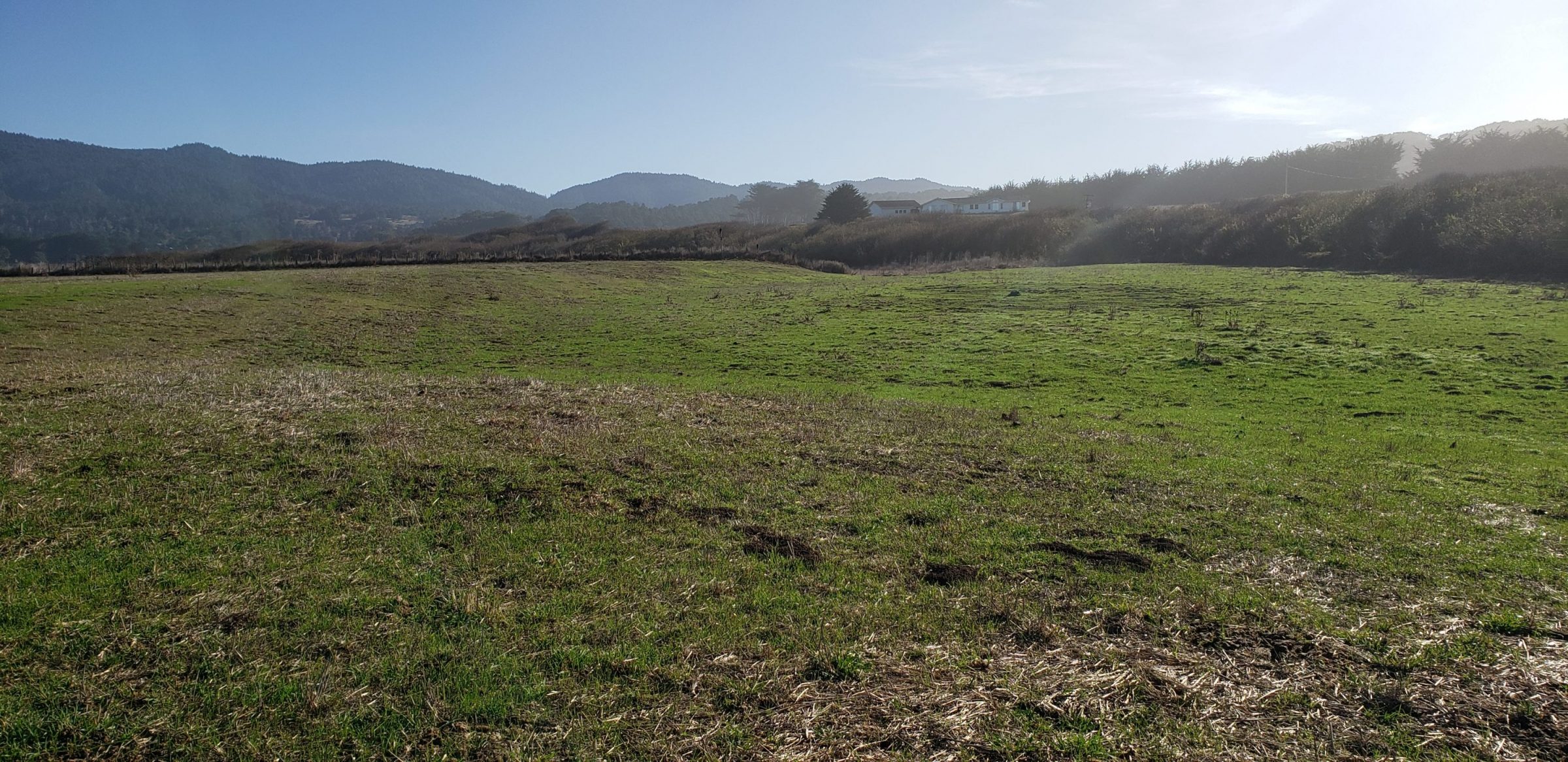 Mendocino Coast Bank (6)