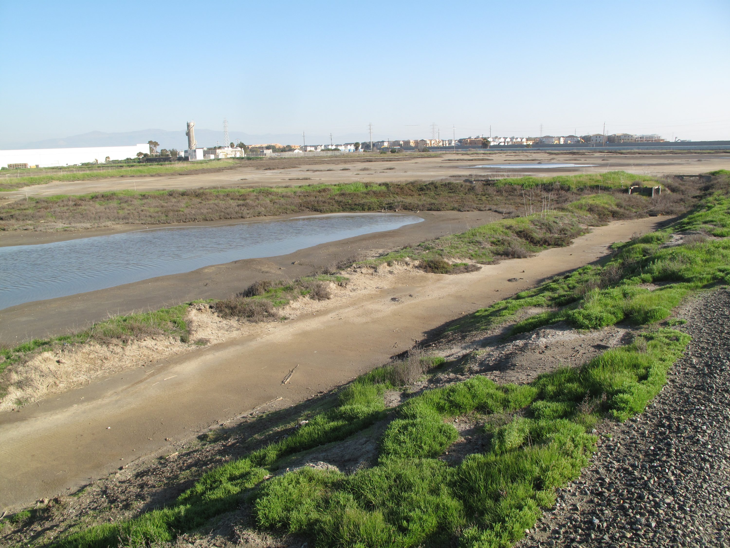 Newark Slough Full Delivery/ Turnkey Mitigation Option