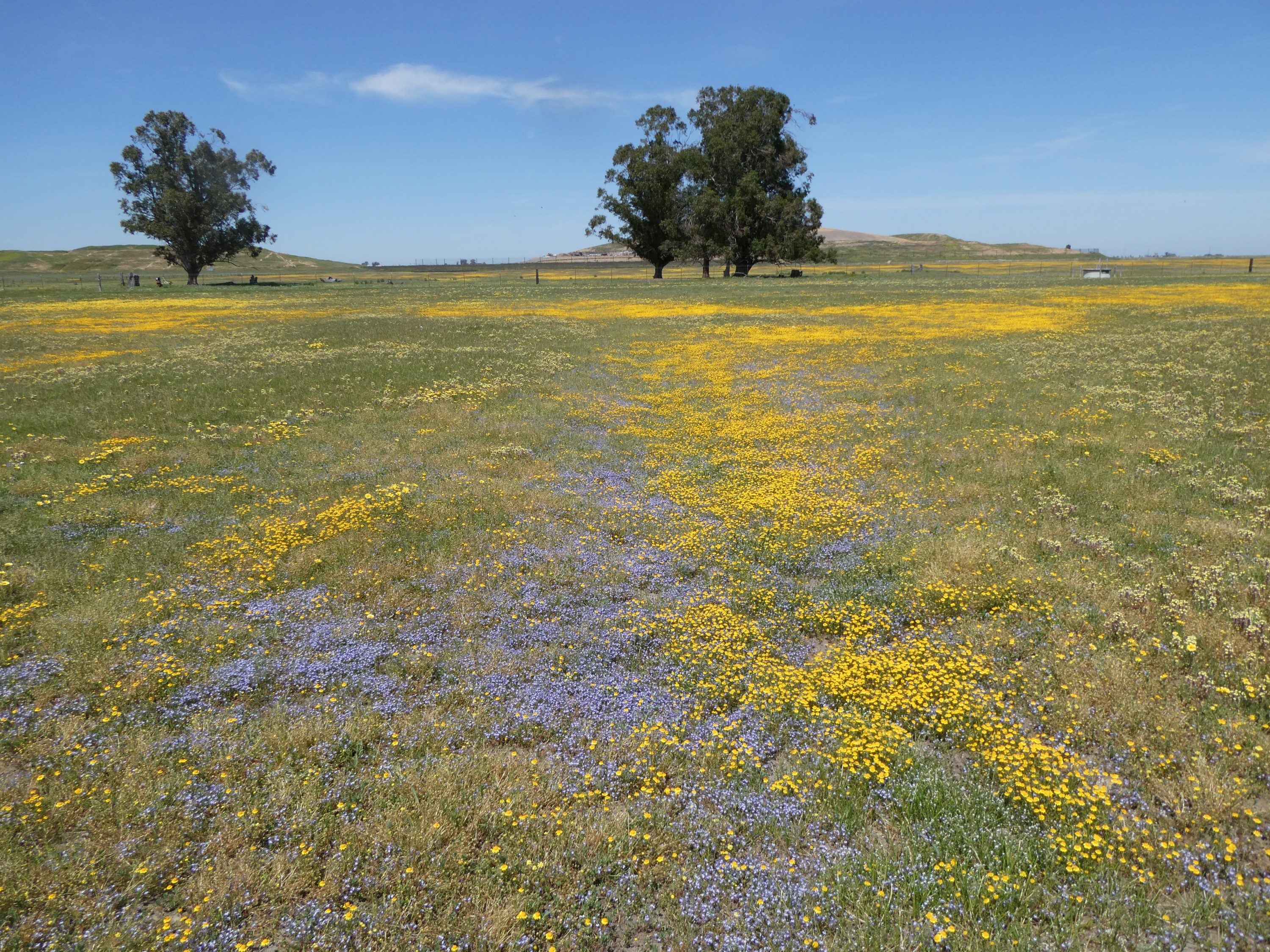 Campbell Ranch II Conservation Bank