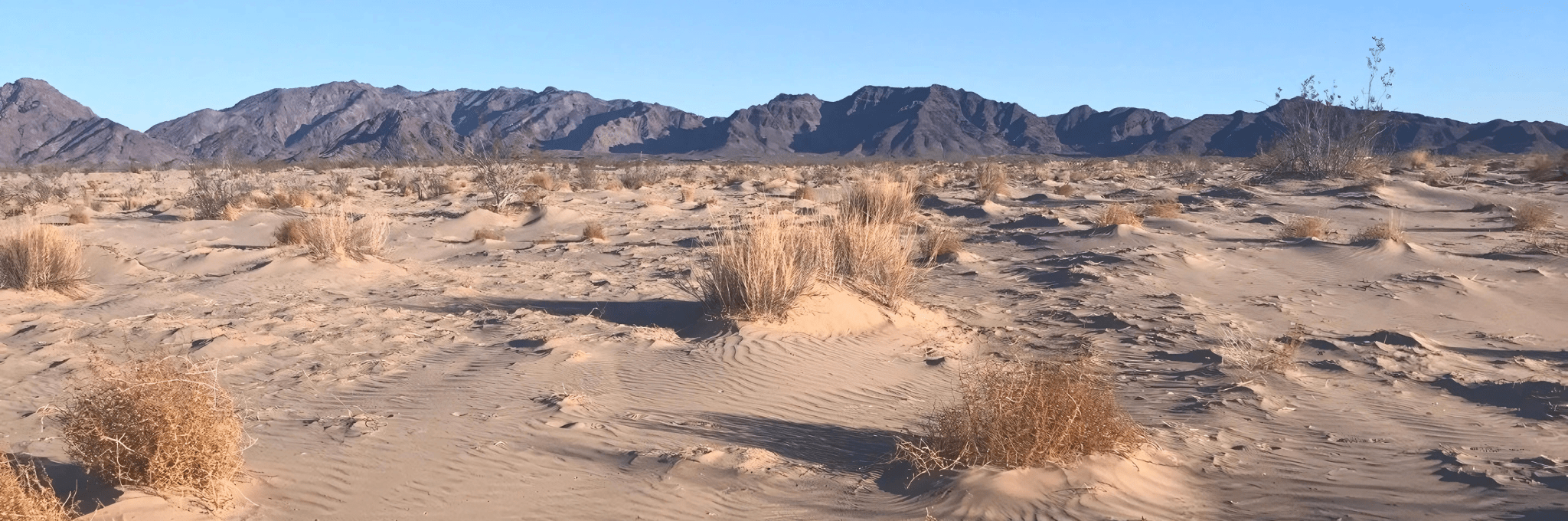 Colorado Desert Conservation Site