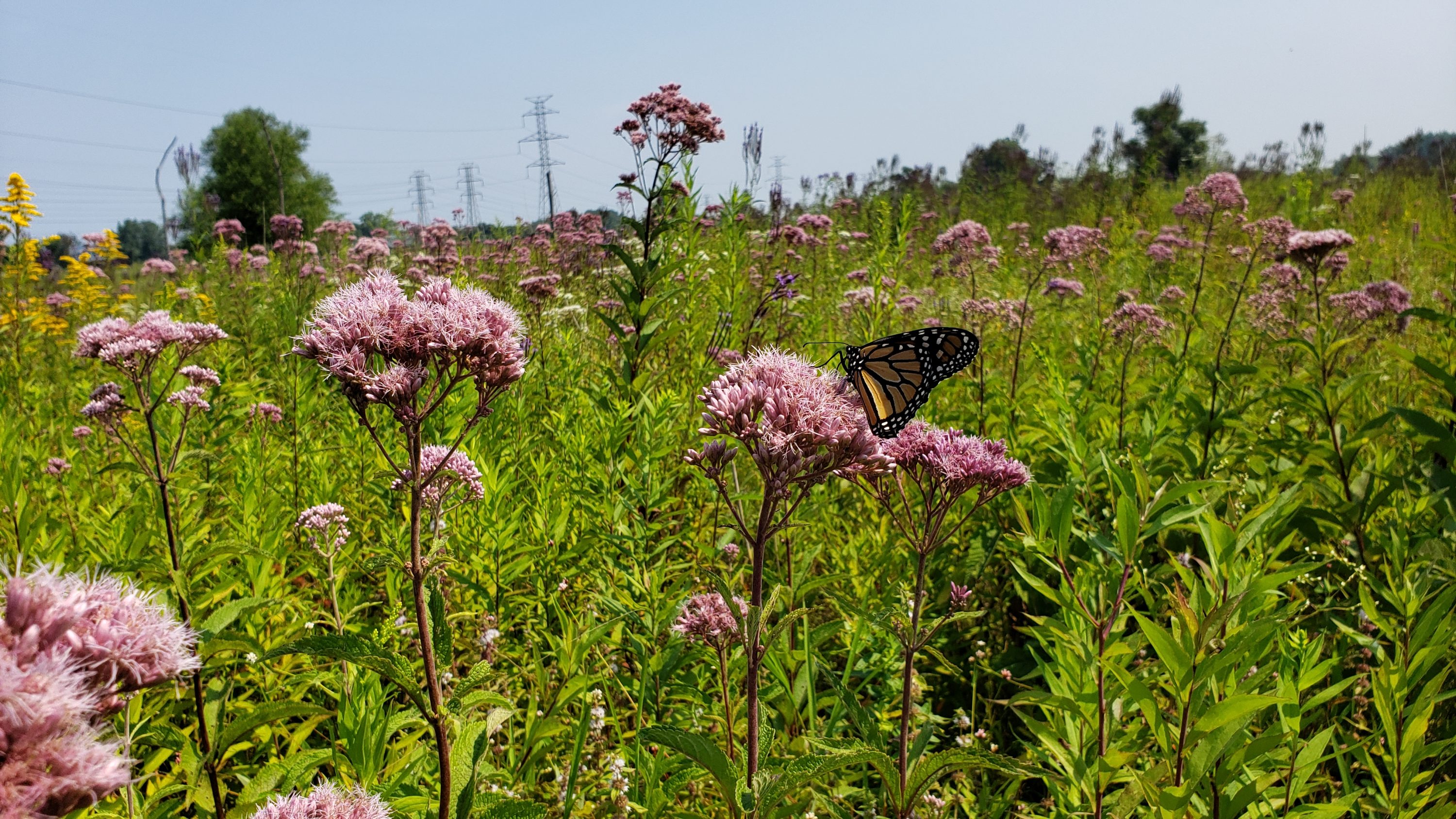 134th Street and Highland-Junction Mitigation