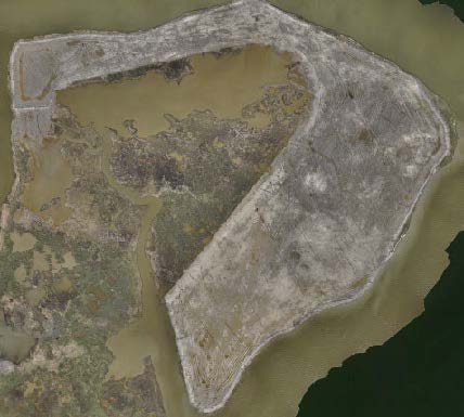 RABBIT ISLAND 3