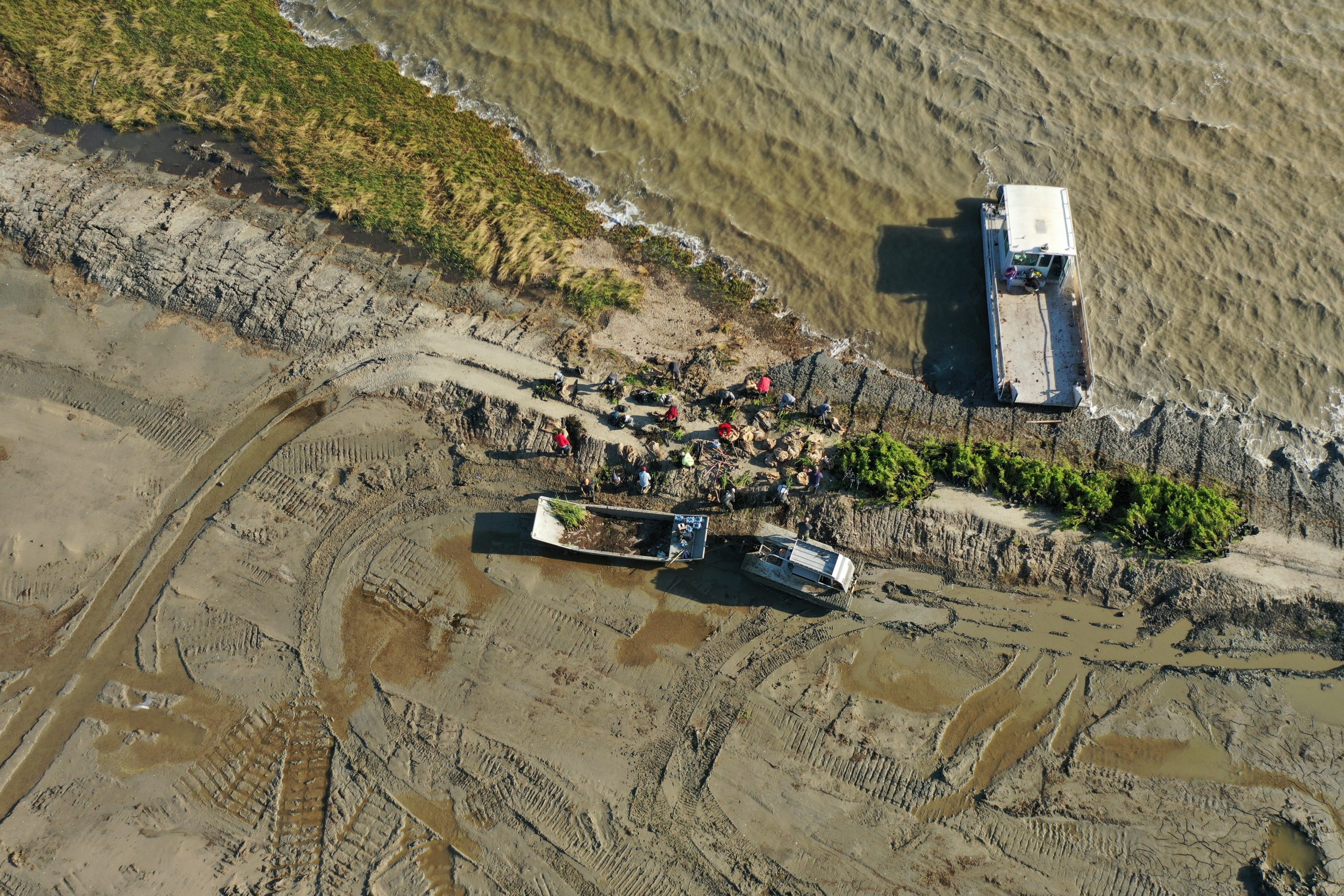 Rabbit Island Restoration and Vegetative Planting