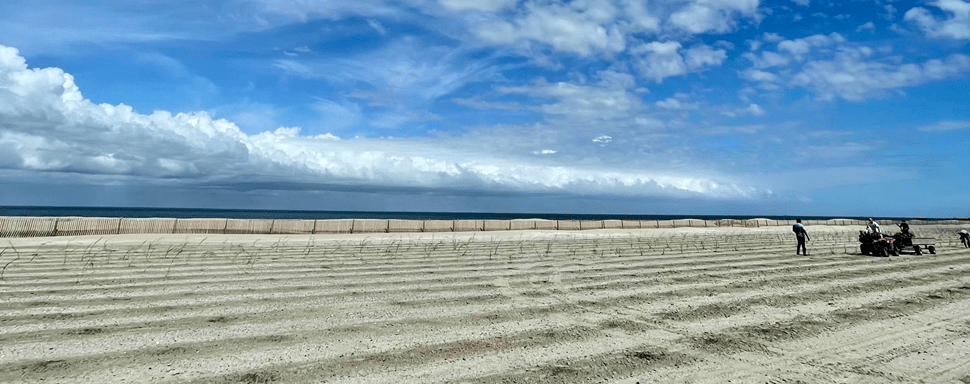 Trinity Island 1