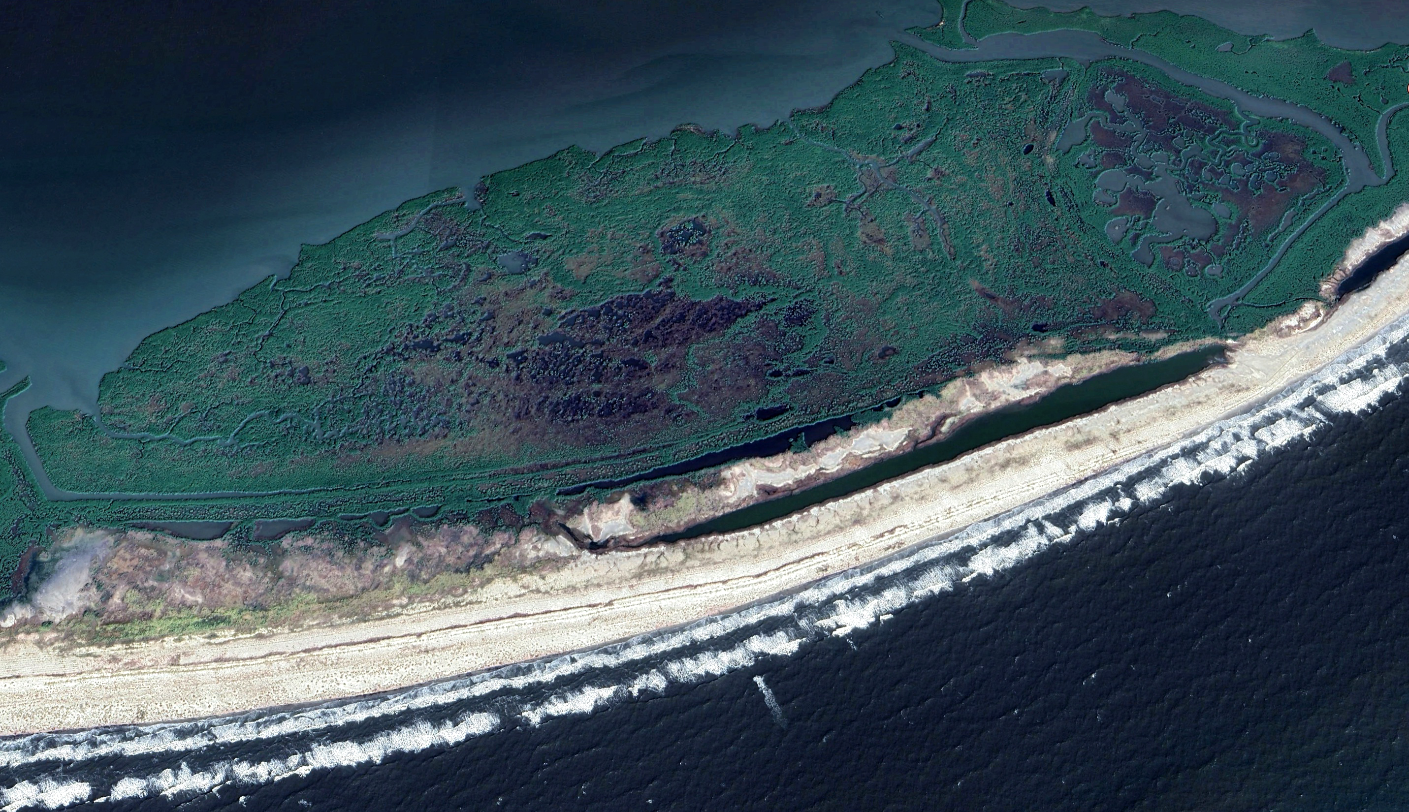 Trinity Island Dune Vegetation