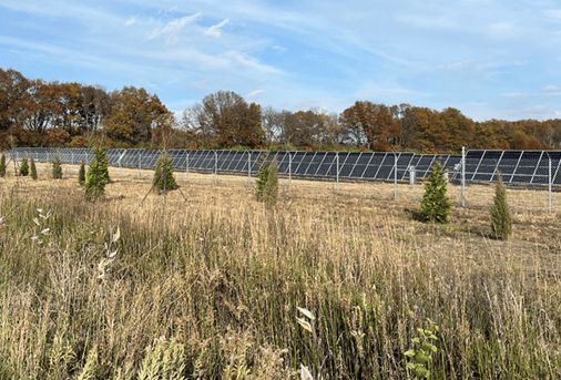 Dunns Bridge Solar 1