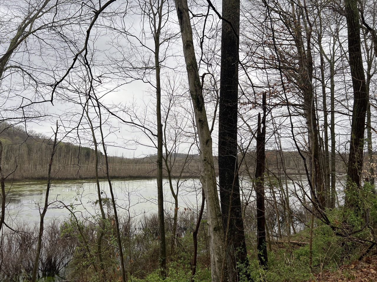 Jordan Creek Wind 1