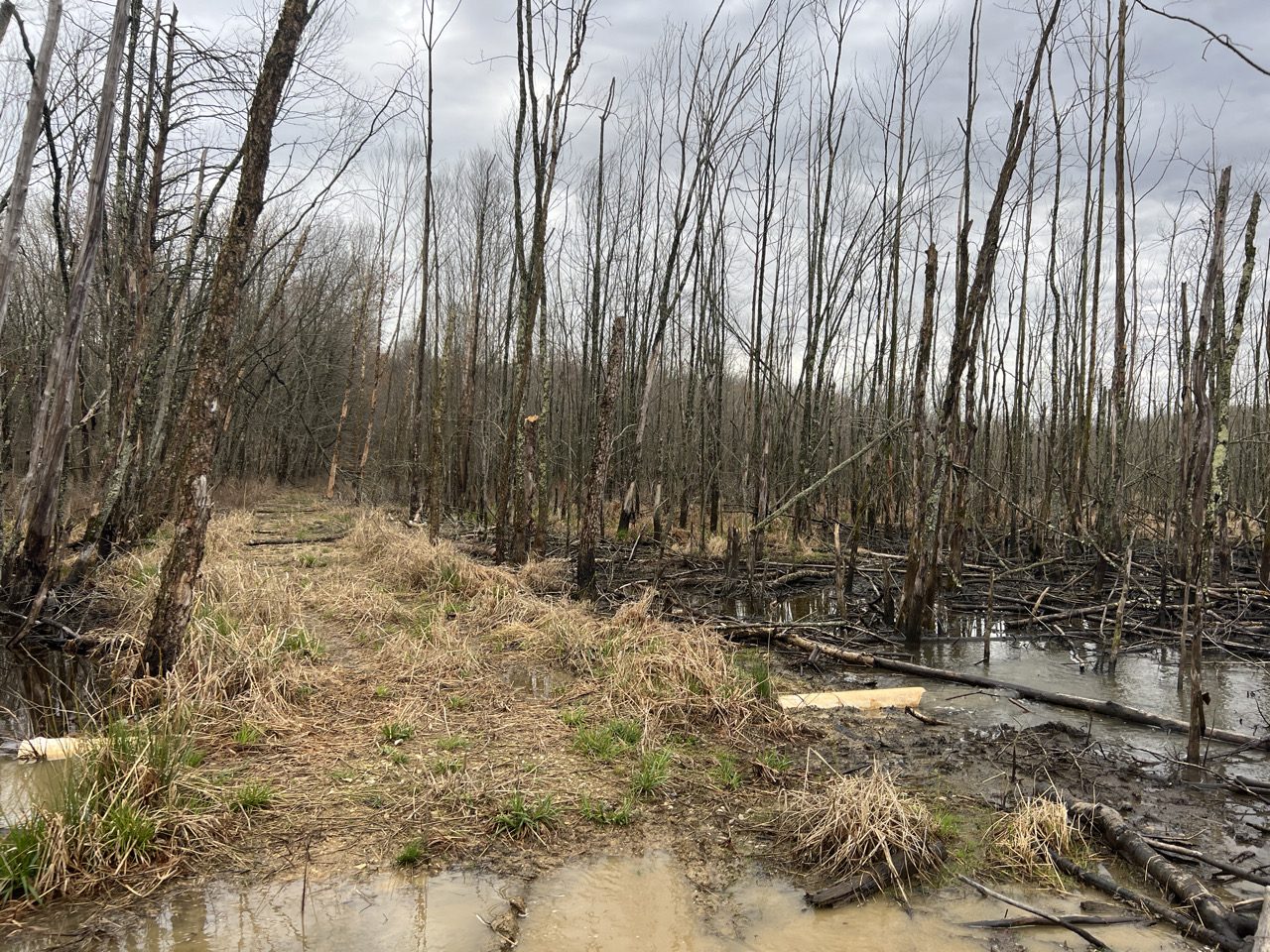 Jordan Creek Wind 2