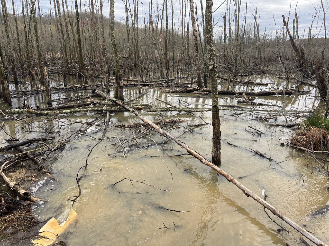 Jordan Creek Wind 3
