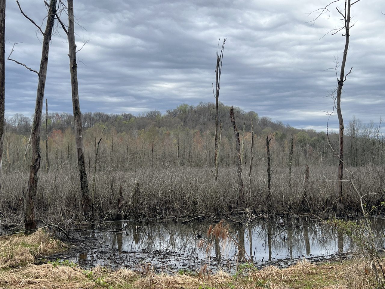 Jordan Creek Wind 4