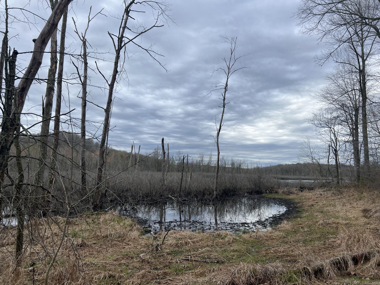 Jordan Creek Wind 5