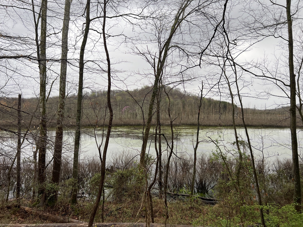 Jordan Creek Wind 6