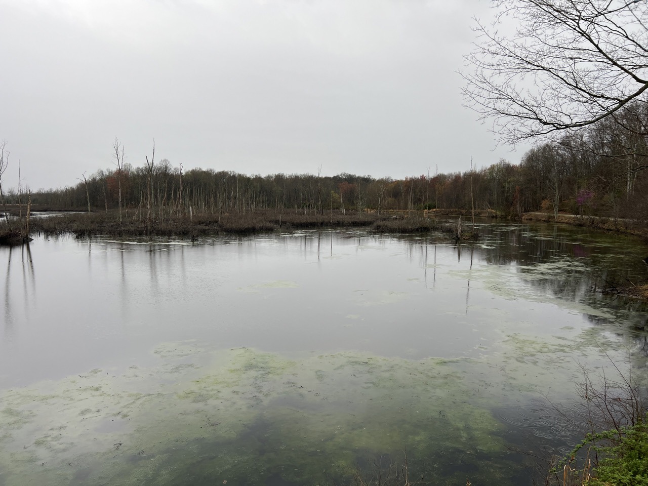 Jordan Creek Wind 7