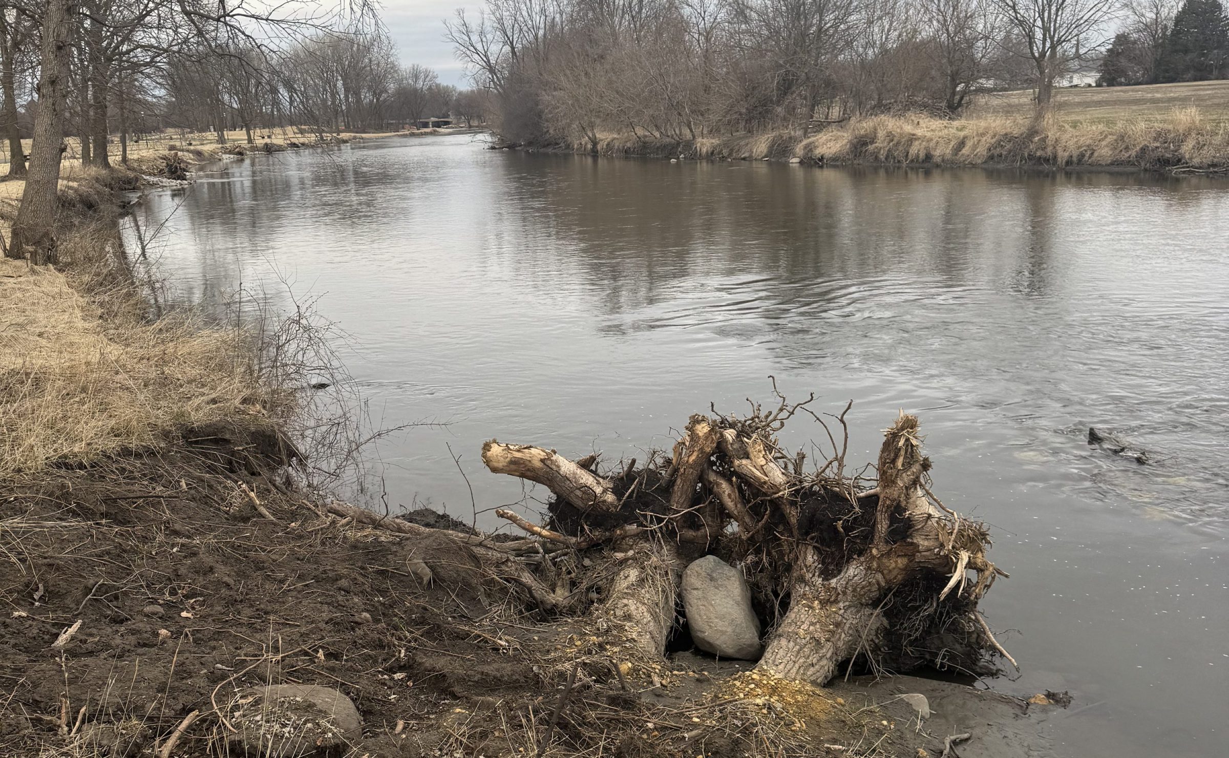 Lower DuPage Before