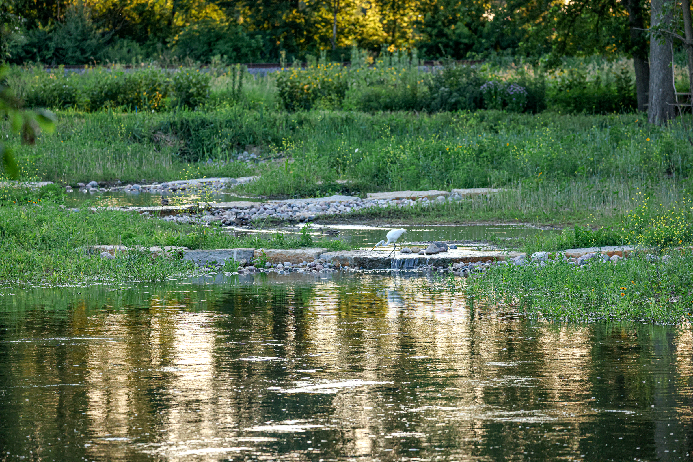 Lower DuPage River 2