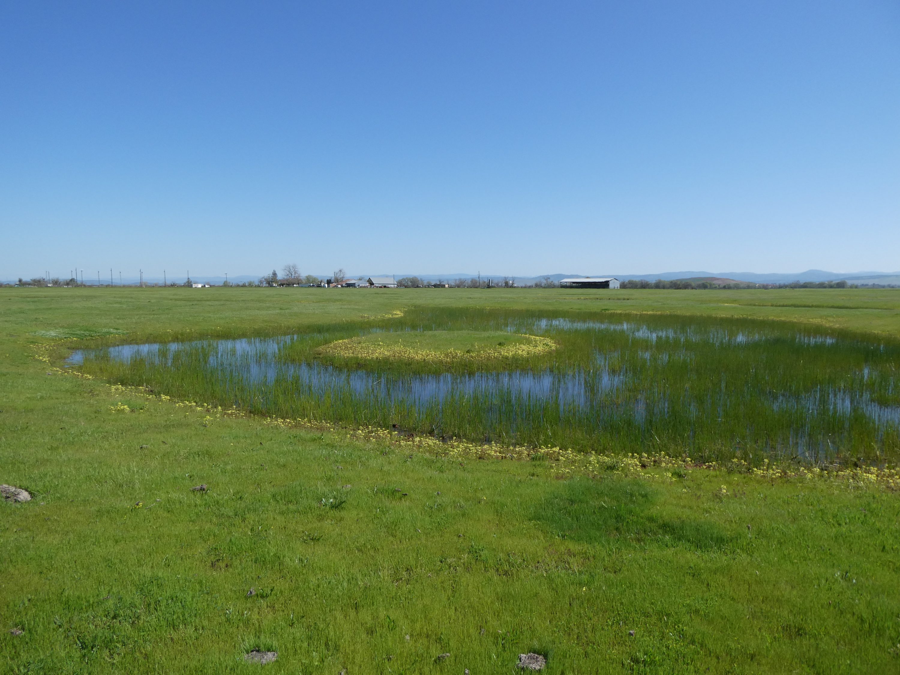 Best Slough Conservation Preserve