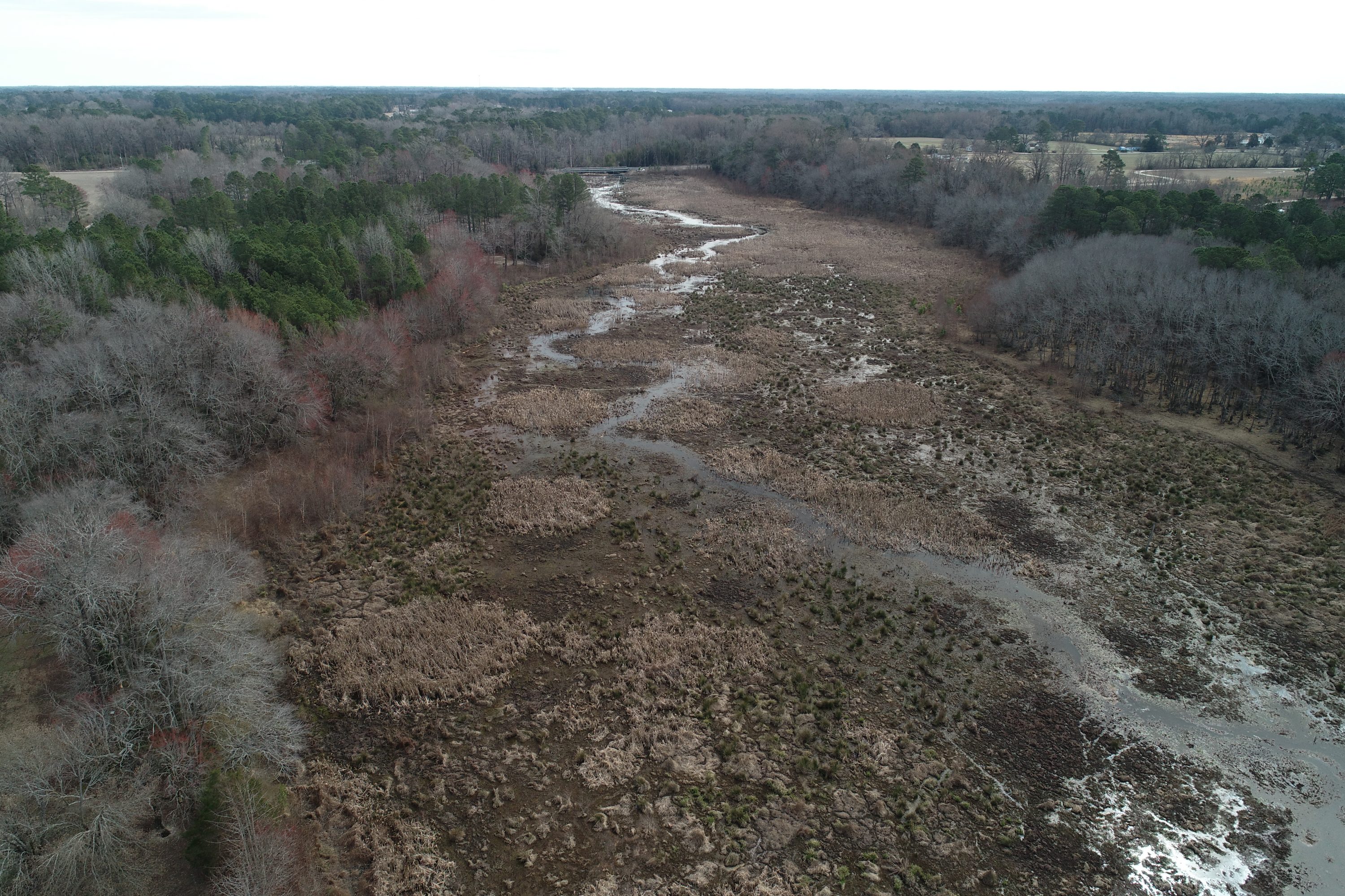 Blackbird Mitigation Site