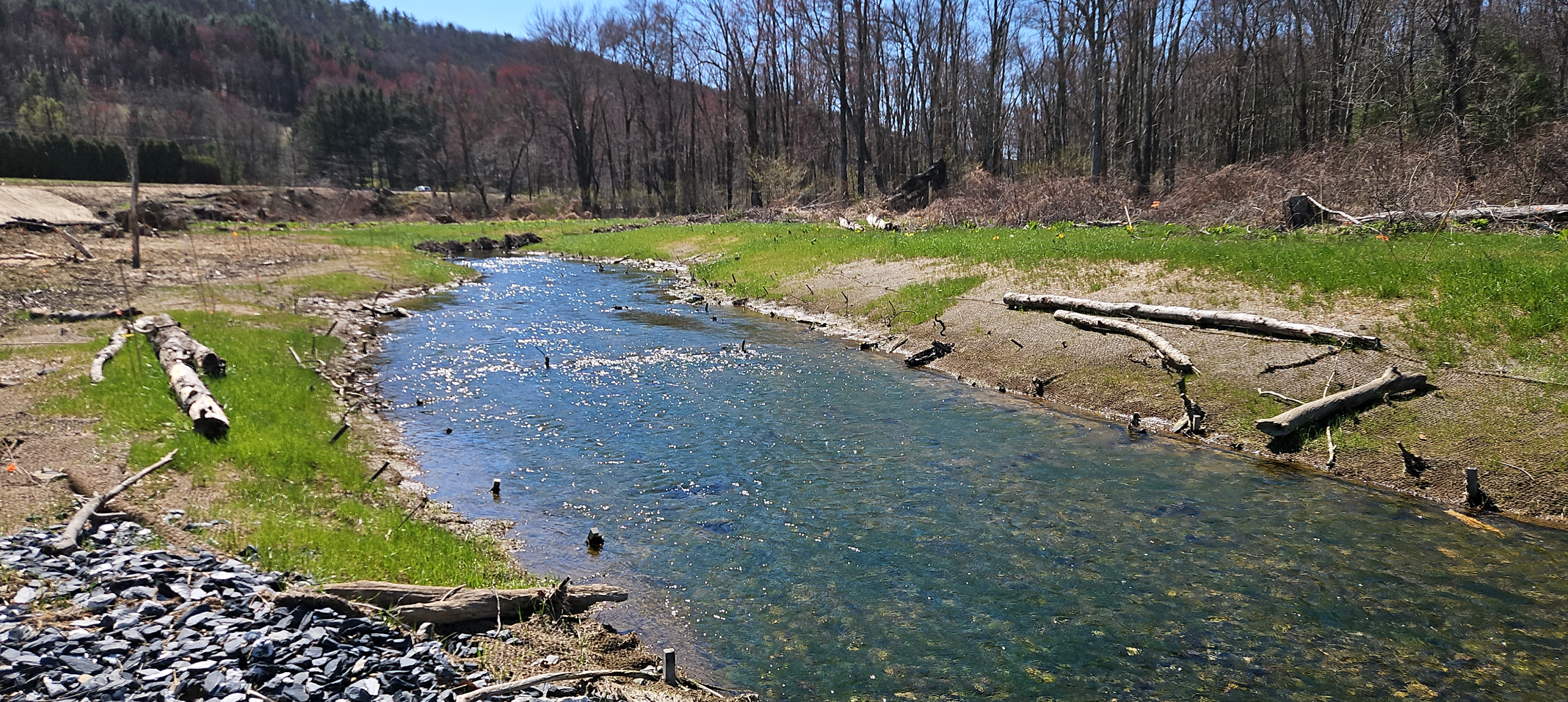 Mahoning Creek Mitigation Bank