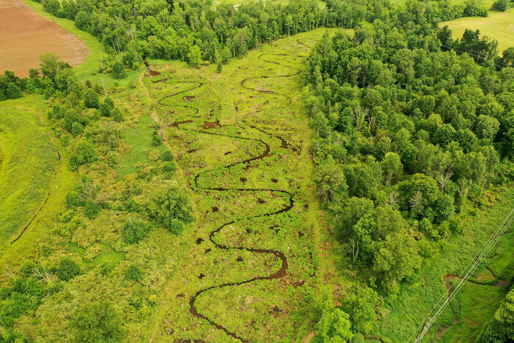 Middle Creek PRM