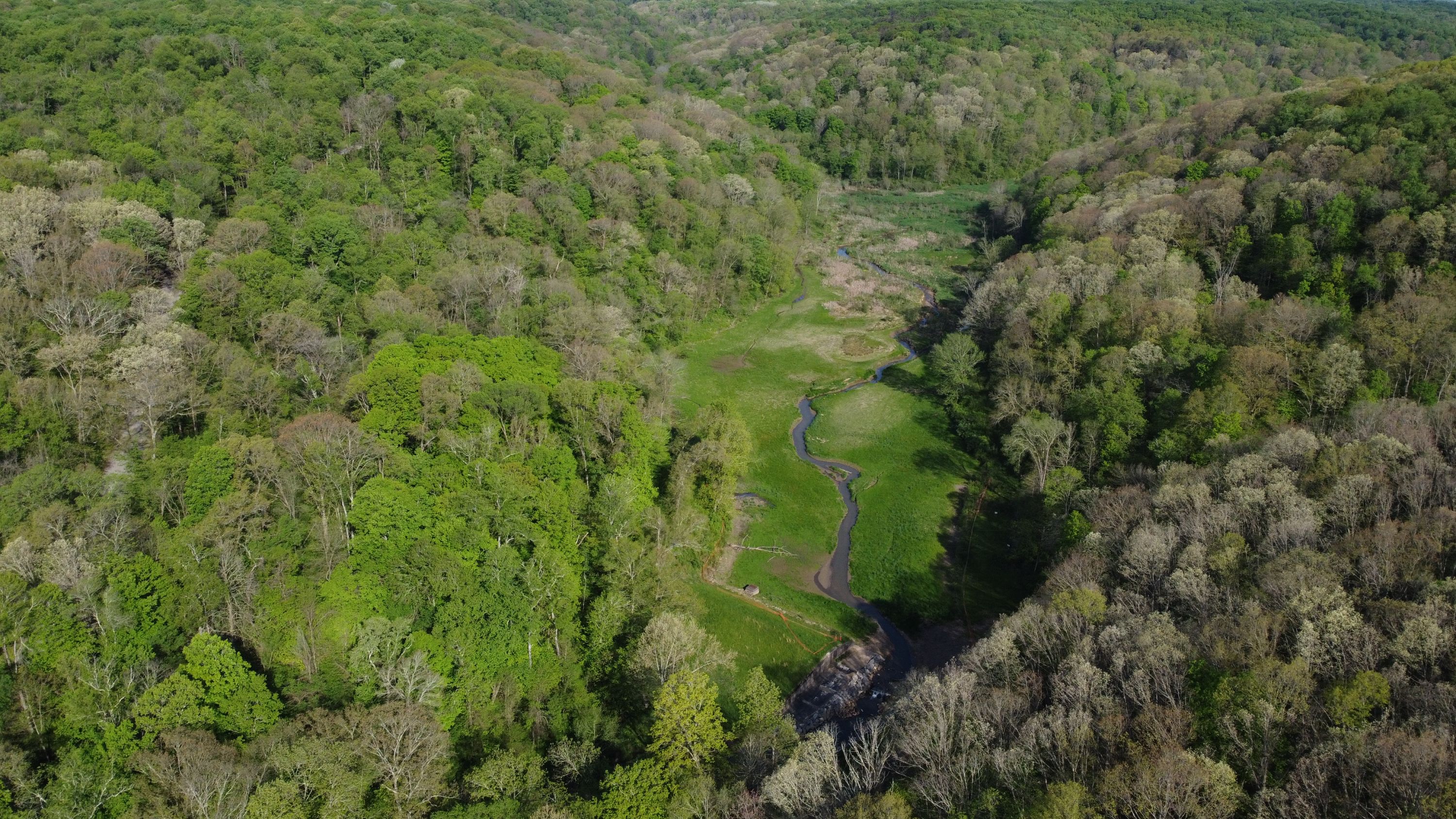 Raccoon Creek Restoration Community Environmental Project