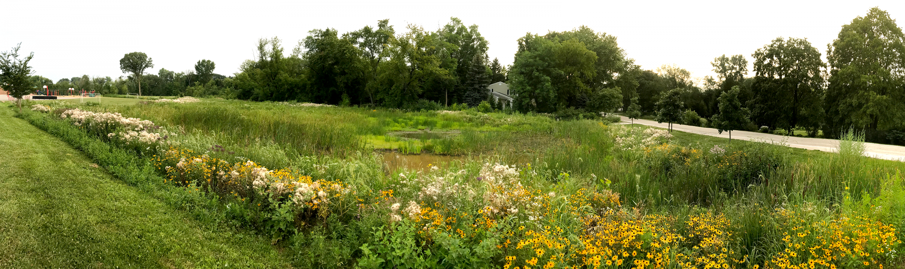 Underwood Creek