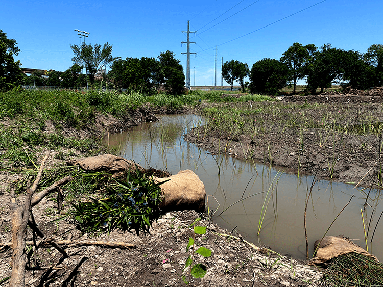 Ham Branch Habitat Mitigation Project
