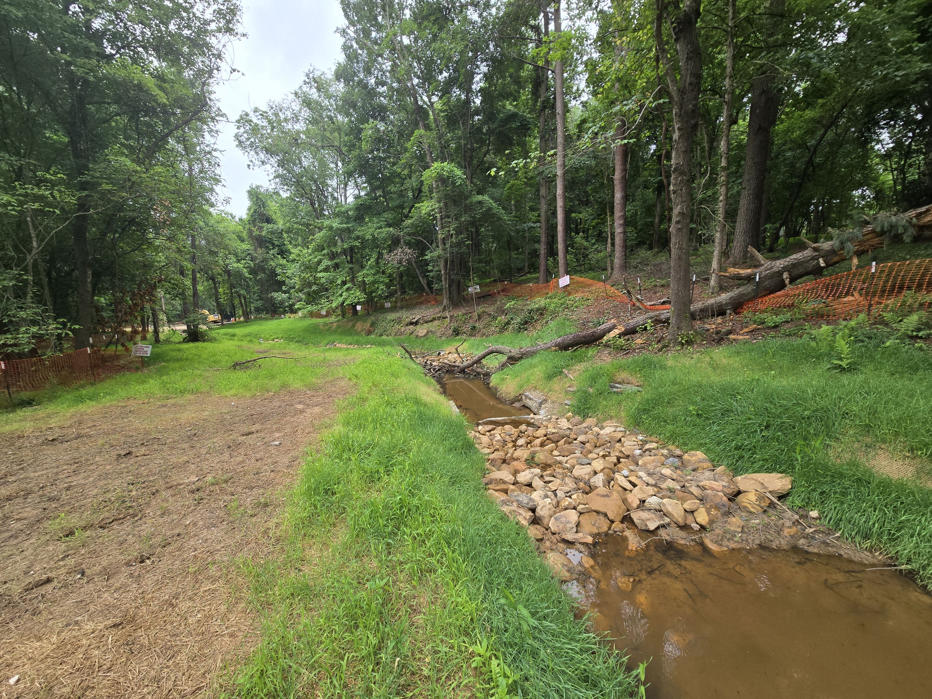 NC Museum of Art Stream Restoration, Phase One