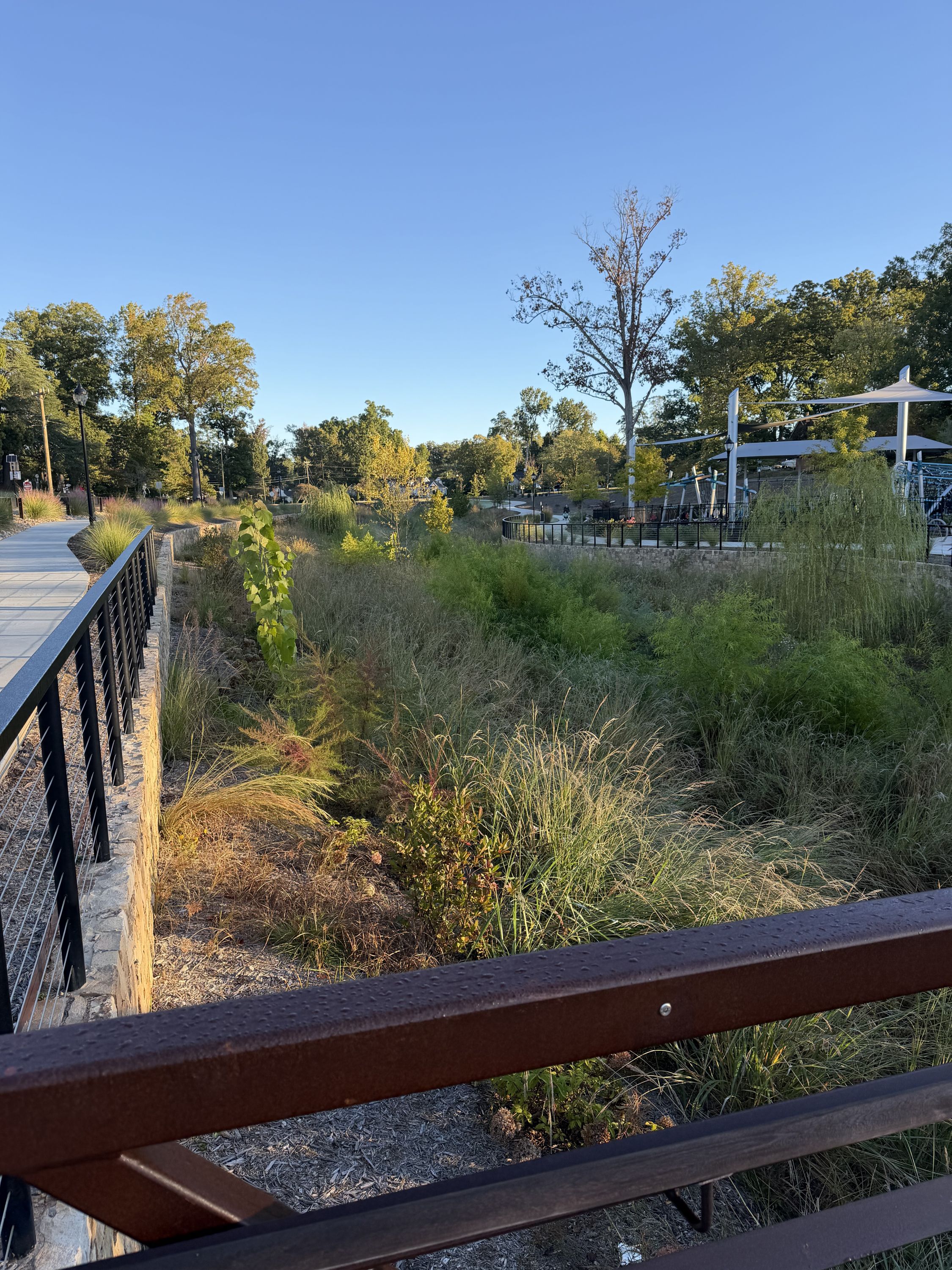 Linley Park Stream Restoration