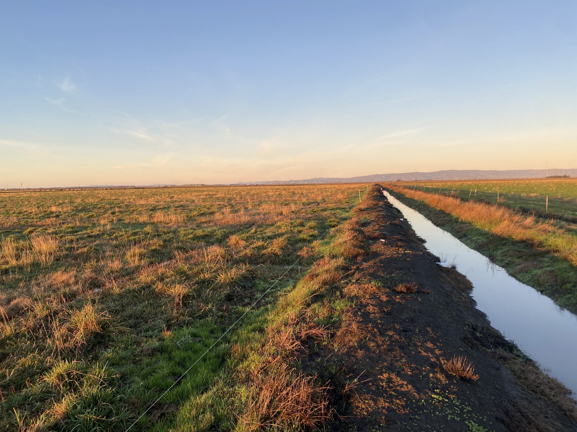 Swan Road Preserve