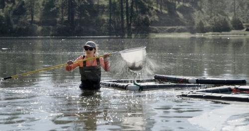 Caption here. Photo: